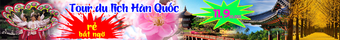 Tour du lịch Hàn Quốc